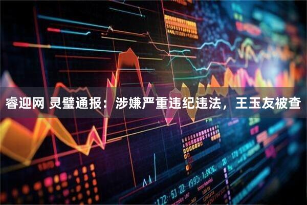 睿迎网 灵璧通报：涉嫌严重违纪违法，王玉友被查